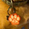 PetGuard NFC 3D – Identificación Inteligente para tu Mascota #mod002