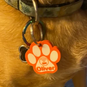 PetGuard NFC 3D – Identificación Inteligente para tu Mascota #mod002